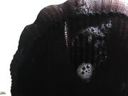 LadyGold - suck my nylons