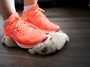 Czech Soles - Daniela's Stomping Tedy Bear Rampage¡ (Feet, Foot Fetish, Trampling) 