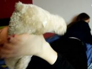 Czech Soles - Foot Smothering And Trampling Teddy Bear (Czech Soles, Foot Domination, Femdom, Bare Feet) 