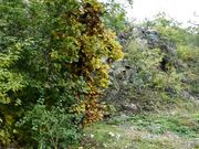 Czech Soles - Her BIG Smelly Feet In Car Are A Turn On (Foot Smelling, Big Feet, Foot Worship, Teen Feet, Soles) 