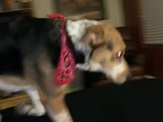 Freckled Feet -  literally had the coziest night ever last n