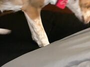 Freckled Feet -  literally had the coziest night ever last n