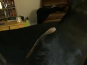 Freckled Feet -  literally had the coziest night ever last n