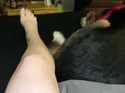 Freckled Feet -  literally had the coziest night ever last n