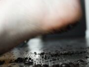 Freckled Feet -  little coffee bean crush ASMR4869