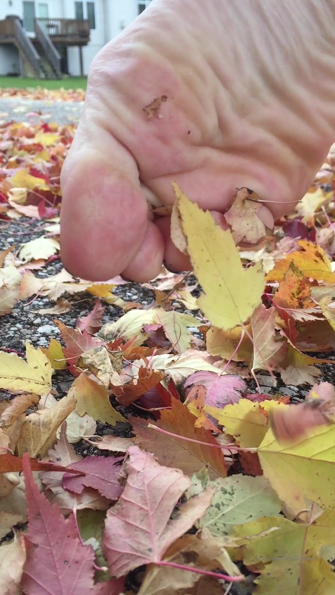 Freckled Feet - 5632