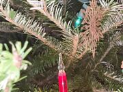 Freckled Feet - Day 3 of 12 days of Alice  I look forward to