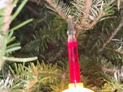 Freckled Feet - Day 3 of 12 days of Alice  I look forward to