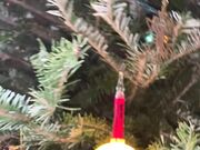 Freckled Feet - Day 3 of 12 days of Alice  I look forward to