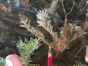 Freckled Feet - Day 3 of 12 days of Alice  I look forward to