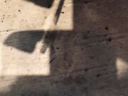 Freckled Feet - blic shoe play is my absolute favorite796