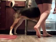 Freckled Feet - ebated posting this. But this is what a typi