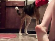 Freckled Feet - ebated posting this. But this is what a typi