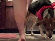 Freckled Feet - ebated posting this. But this is what a typi