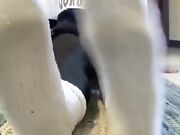 White Nike Socks Strip