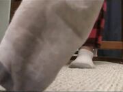 Mandy Flores - Vintage Smelly Socks