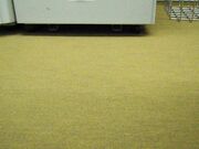 Office nylon feet-My old leather boots