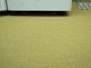 Office nylon feet-My old leather boots