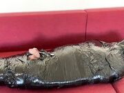 LadyPerse - I Mummified My Slave For Little Torment