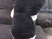 Leena Mae - Fuzzy Socks Ignore And Tease