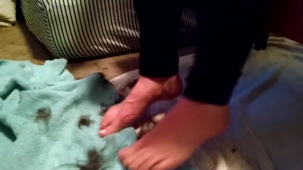 Feet 1101