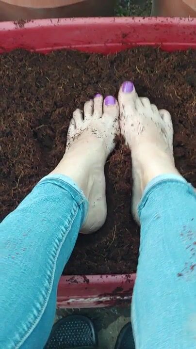 Feet 1365