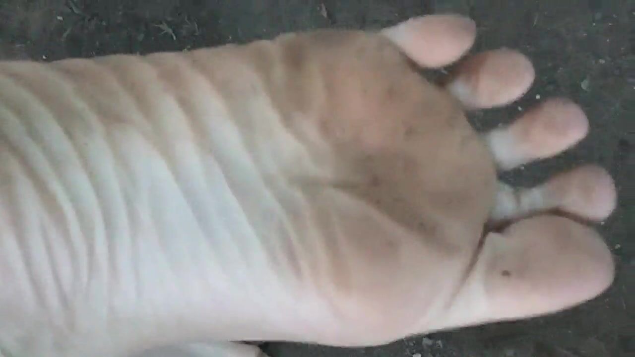 Feet 1366