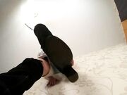 under giantess soles