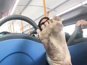 Cum dirty feet on bus