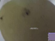 Asian Girl's Nylon Feet Pov