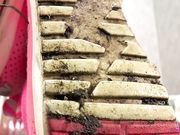 Princess Serena - You�re my foot stool