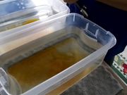 BABY FOOT PEEL - DIY Foot Soak