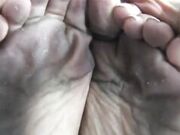 Dragon Lily Dirty Feet