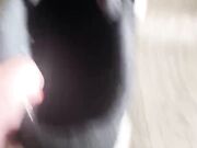 Princess Bridgette Black Socks