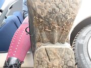 Cruel Reell - Riding Boots Dirty Socks