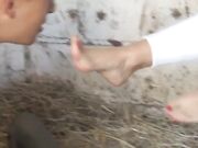 Dyrkar Stovlar Worship boots Femdom