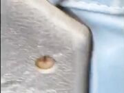 Candid flip flops feet at public bus