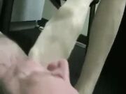 Sexy Nurse Sharina Nicole Smelly Nylon Feet