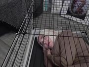 Goddess Valeria - Harsh and disgusting humiliation of my Muslim slave! 4K