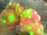 Goddess Gwendolyn Seductive foot soles a play of light and oil  