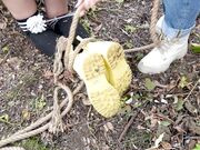 Kingdom of Feet and Slaves - Playing With A Brush Between Wet Feet 1