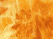 Domina Lali MILA PEDAL PUMPING talons blanc 