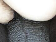 My wife and black cock fucking
