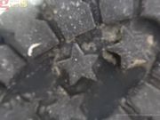 Ab's CBT Dangerous Girls - Facetrampling until you cry