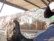 Madame Madison - Slave eats from my dirty boots in public