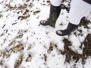 Cucciolopage - Frost And Manure