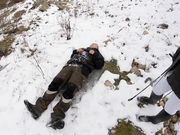 Cucciolopage - Frost And Manure