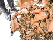 Cucciolopage - Frost And Manure