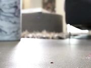 Bratty Foot Girls - Naomi Swann - Naomi's Unaware Bug Problem SFX