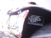 Venus Venerous - Sweaty Feet and Sneaker JOI